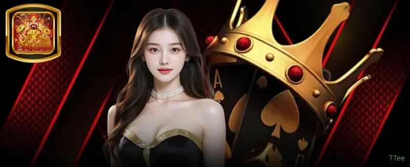 Interface do Aplicativo 77ee - Design Premium e Intuitivo