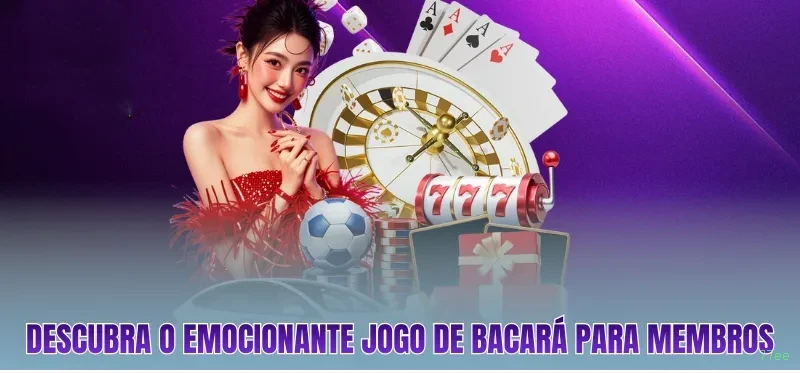 Benefícios do Login 77ee - Bônus e Vantagens Exclusivas
